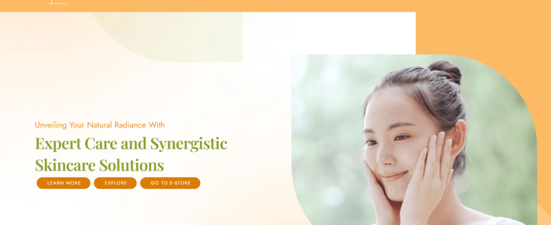 Niks Professional (Website)